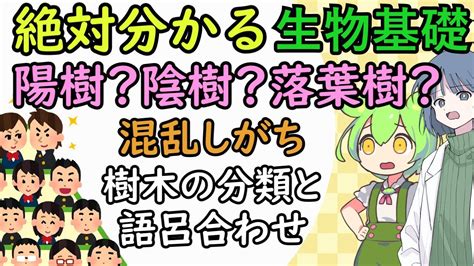 陰樹 種類|陰樹と陽樹の違いと代表的な樹木 